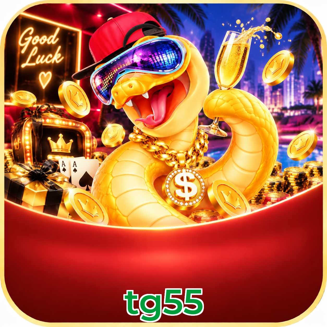 tg55
